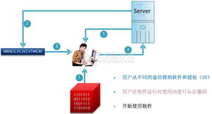 軟件授權技術融合網絡技術的新發展模式探析