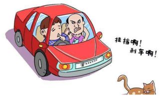 學員這樣練車,真是所有教練的噩夢 駕校